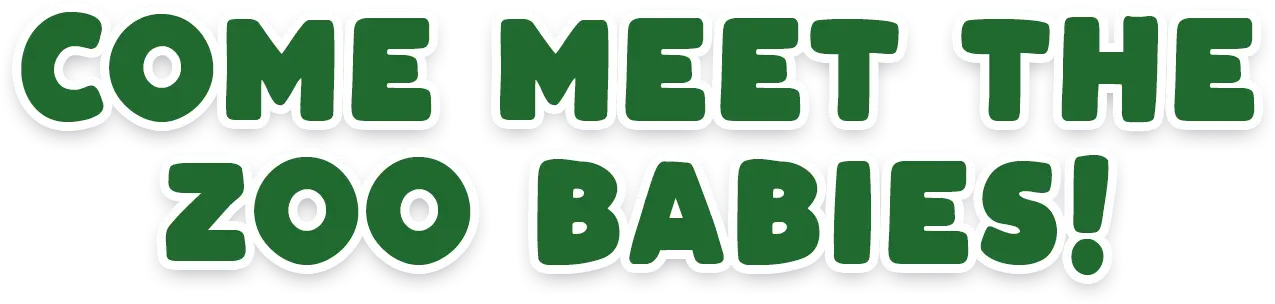 Come Meet The Zoo Babies