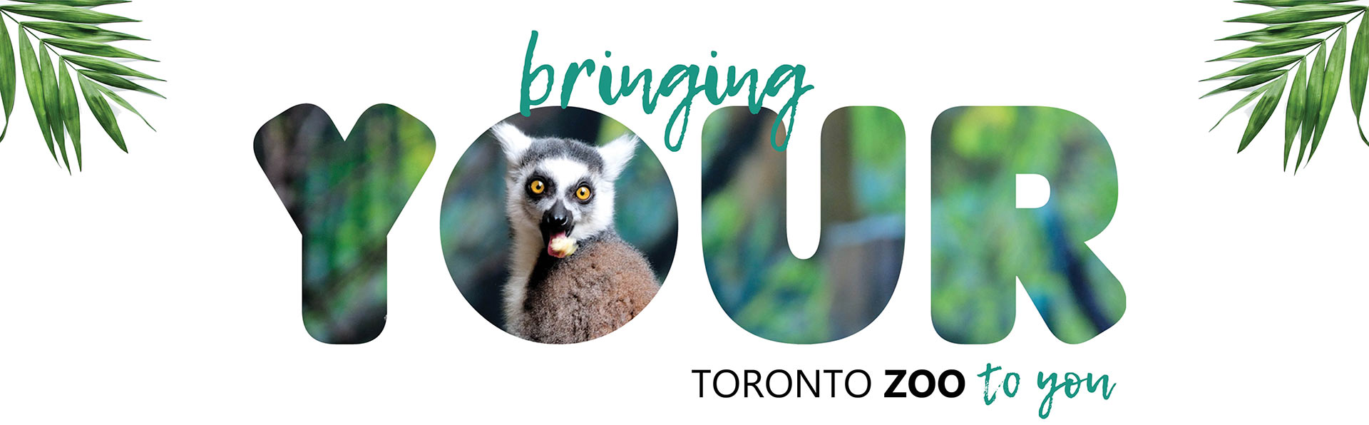 zoo toronto discount