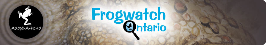 Frogwatch Ontario