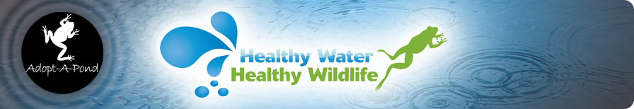 Healthy Water - Healthy Wildlife