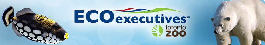 ECOexecutives 2011/2012