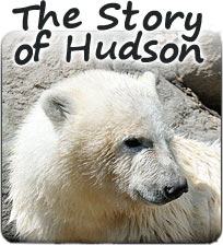 The Story of Hudson